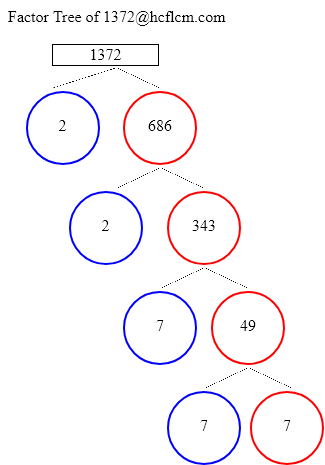 Factors of 1372