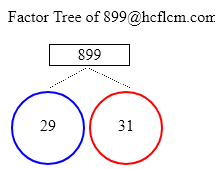 Factors of 899