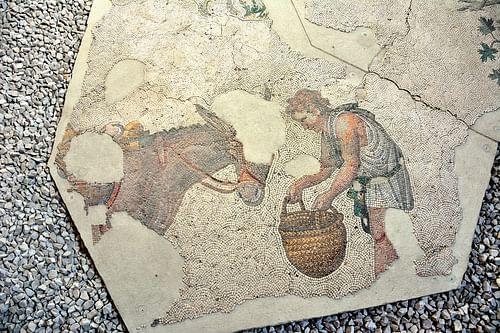 Man Feeding Mule, Byzantine Mosaic
